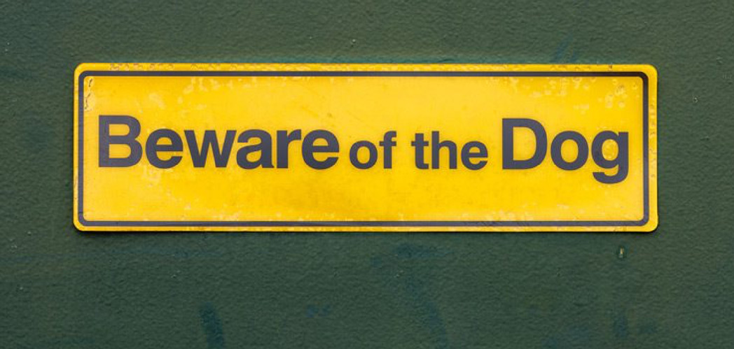 Beware-of-dog-sign-on-green-wall